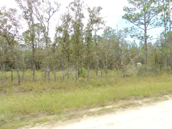 690 NE 135th Court, WILLISTON, FL 32696