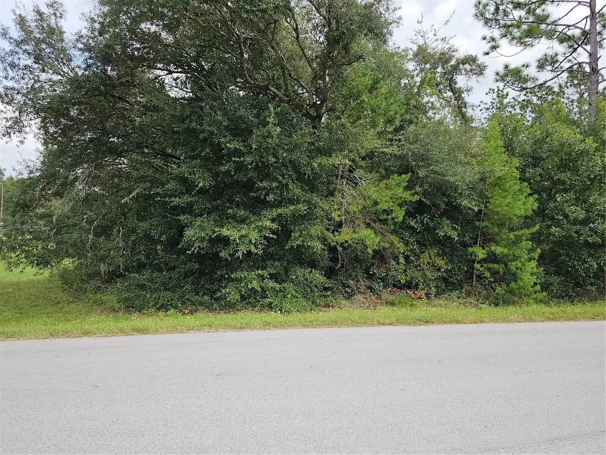 Lot 13 SW 156th Court, Ocala, FL 34481 - Image #1