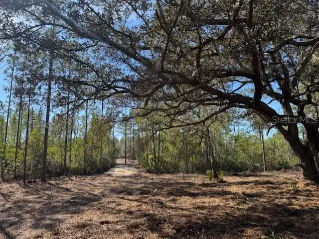 11901 Ne 150th Ave Road, Fort McCoy, FL 32134 - Image #1