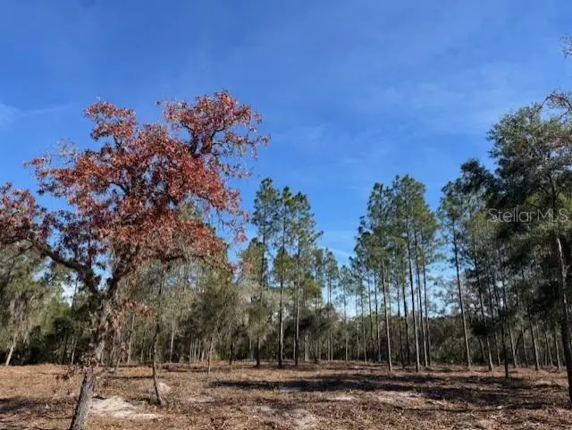 11901 Ne 150th Ave Road, Fort McCoy, FL 32134 - Image #3