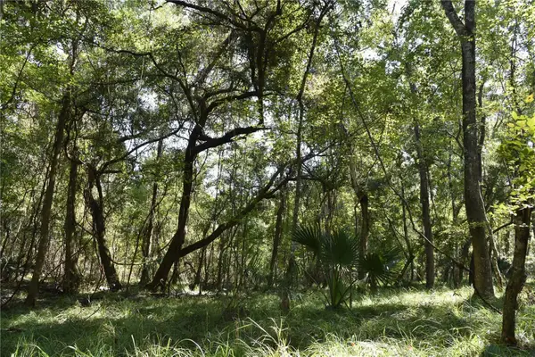 SE 24th Avenue, HAWTHORNE, FL 32640