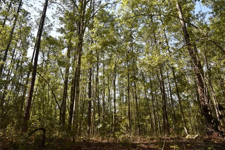 SE 24th Avenue, Hawthorne, FL 32640 - Image #2