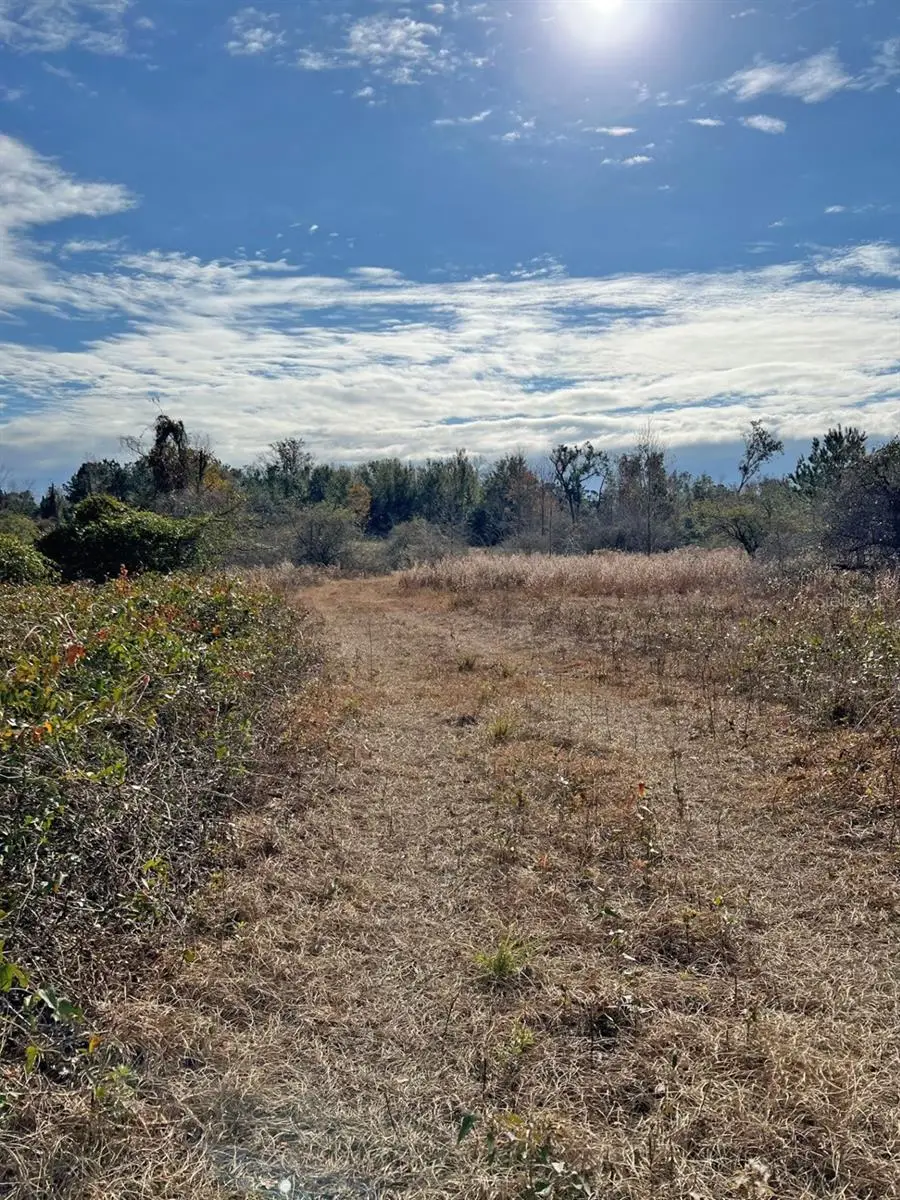 00 SW Cr 249, Jasper, FL 32052 - Image #3