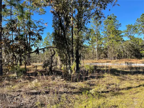 Lot 1 SE 131st Avenue, DUNNELLON, FL 34431