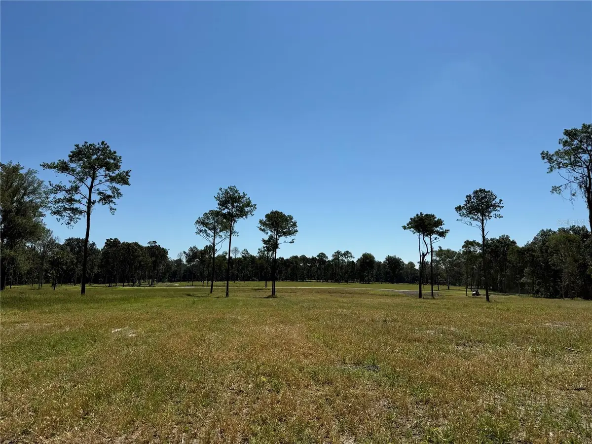 84ac NW 193rd St, Micanopy, FL 32667 - Image #1