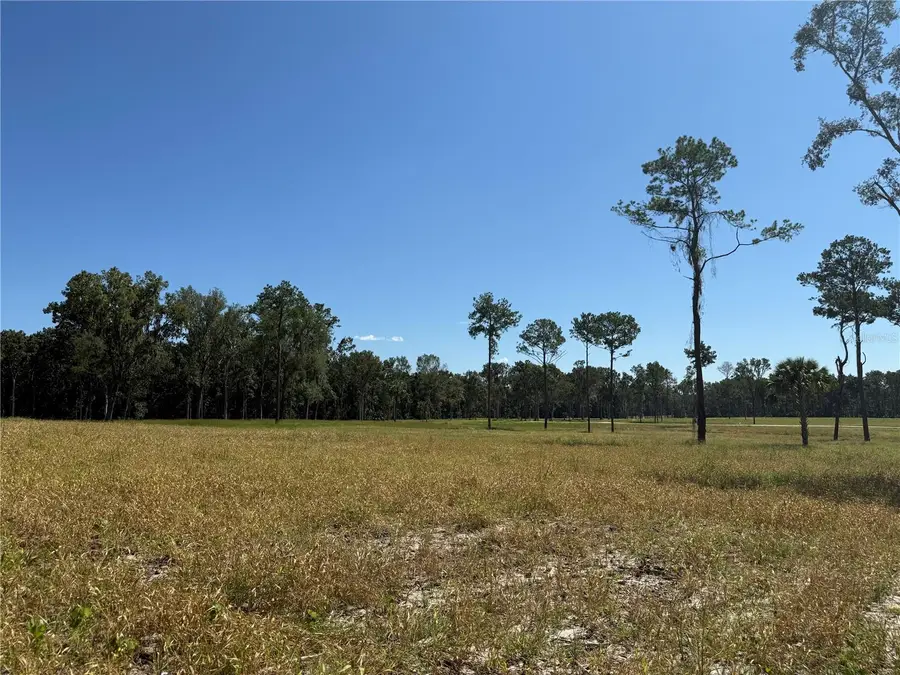 84ac NW 193rd St, Micanopy, FL 32667 - Image #3