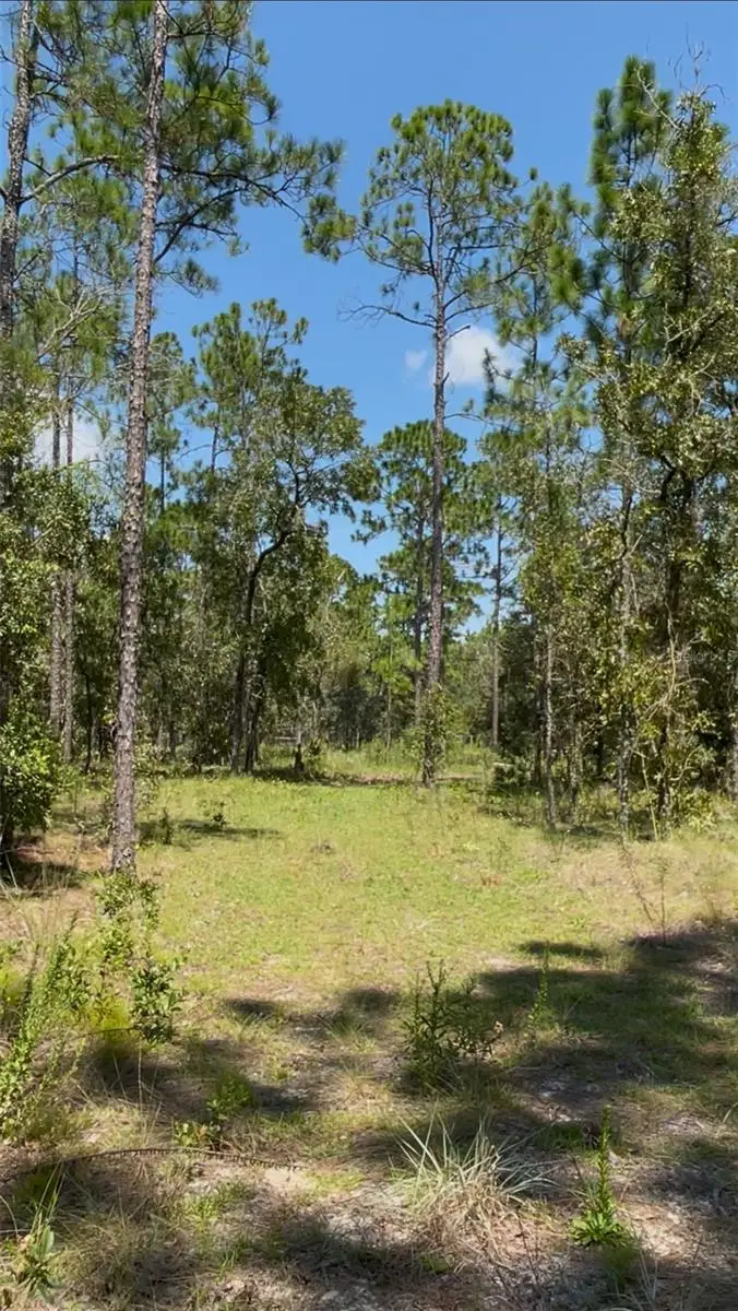 Sw Obee Ridge Rd, Dunnellon, FL 34431 - #1