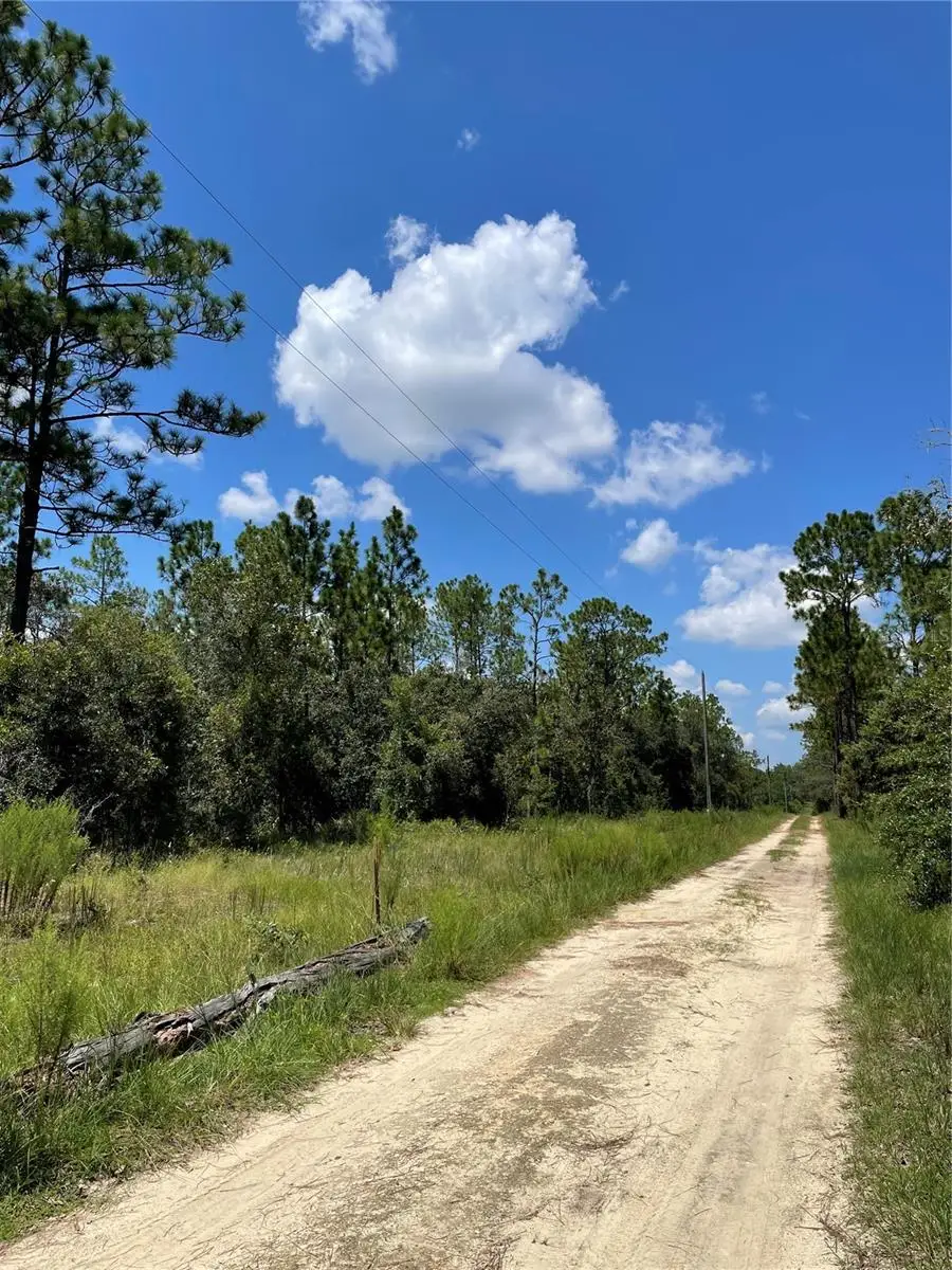 Sw Obee Ridge Rd, Dunnellon, FL 34431 - #2