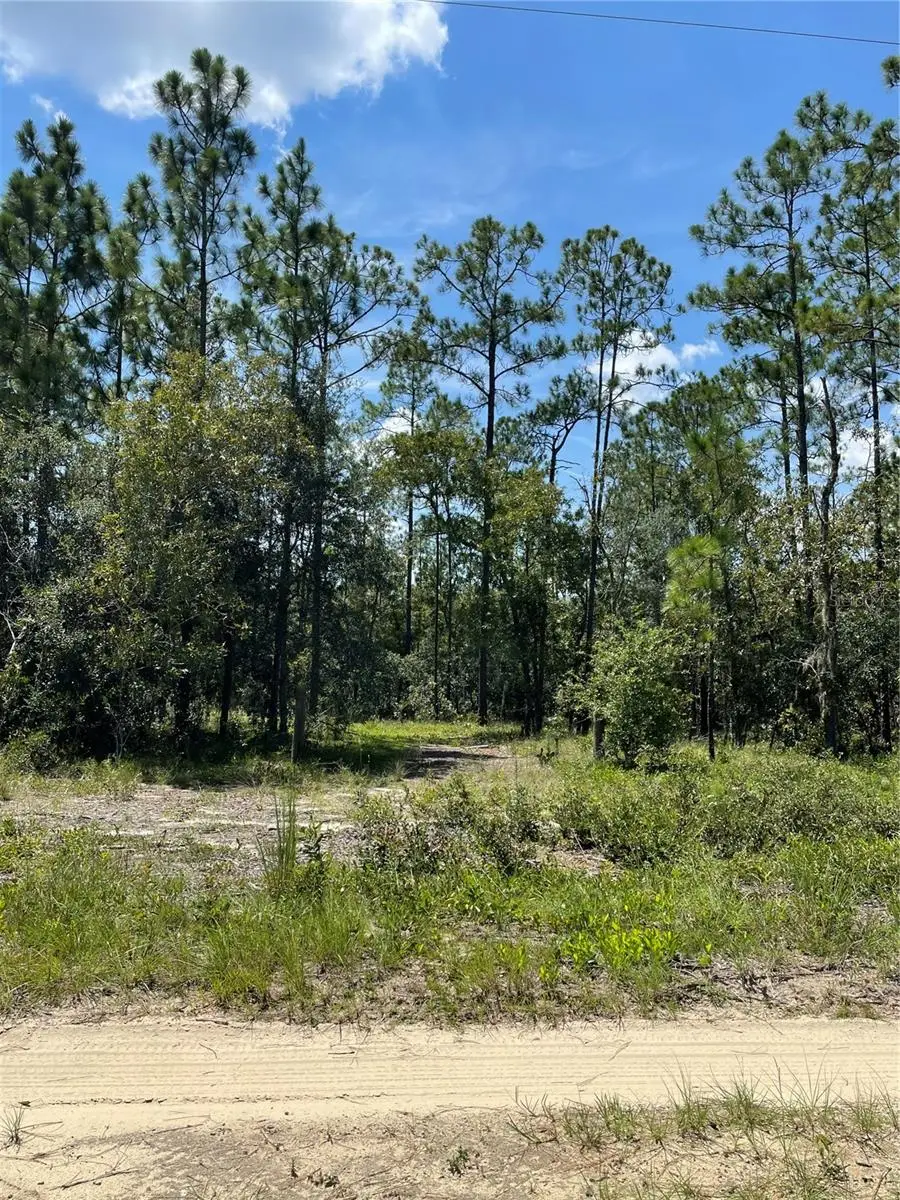 Sw Obee Ridge Rd, Dunnellon, FL 34431 - #3