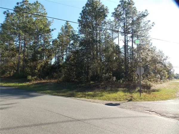 9432 N Cherry Lake Drive, CITRUS SPRINGS, FL 34433