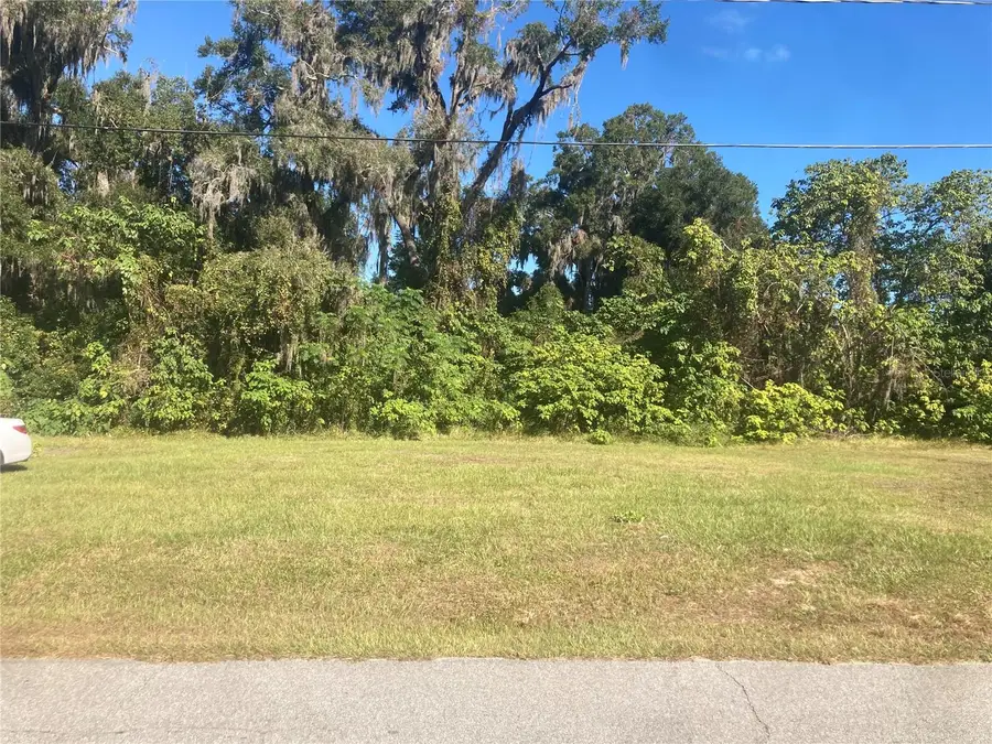 SW 5th St, Ocala, FL 34471 - Image #3