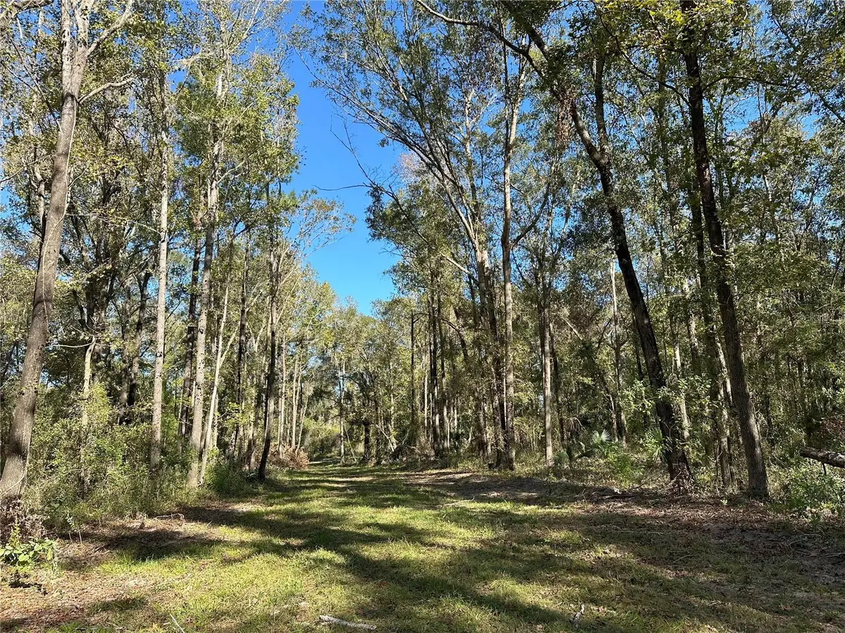 55ac W Hwy 318, Reddick, FL 32686 - Image #1