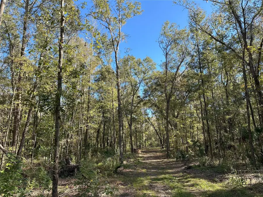 55ac W Hwy 318, Reddick, FL 32686 - Image #2