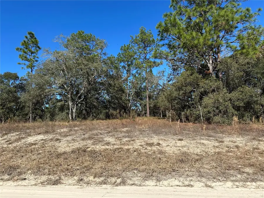 14731 SE 5th Place, Williston, FL 32696 - Image #3