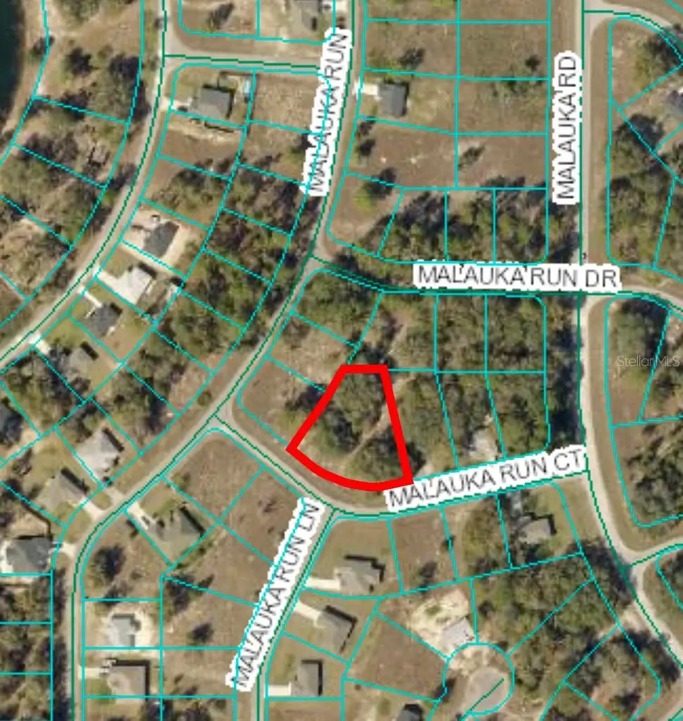 TBD Malauka Run Court, Ocklawaha, FL 32179 - Image #1