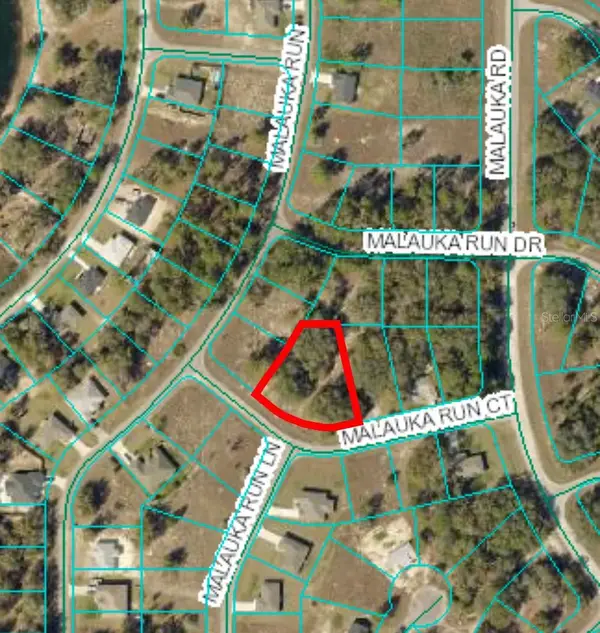 TBD Malauka Run Court, OCKLAWAHA, FL 32179