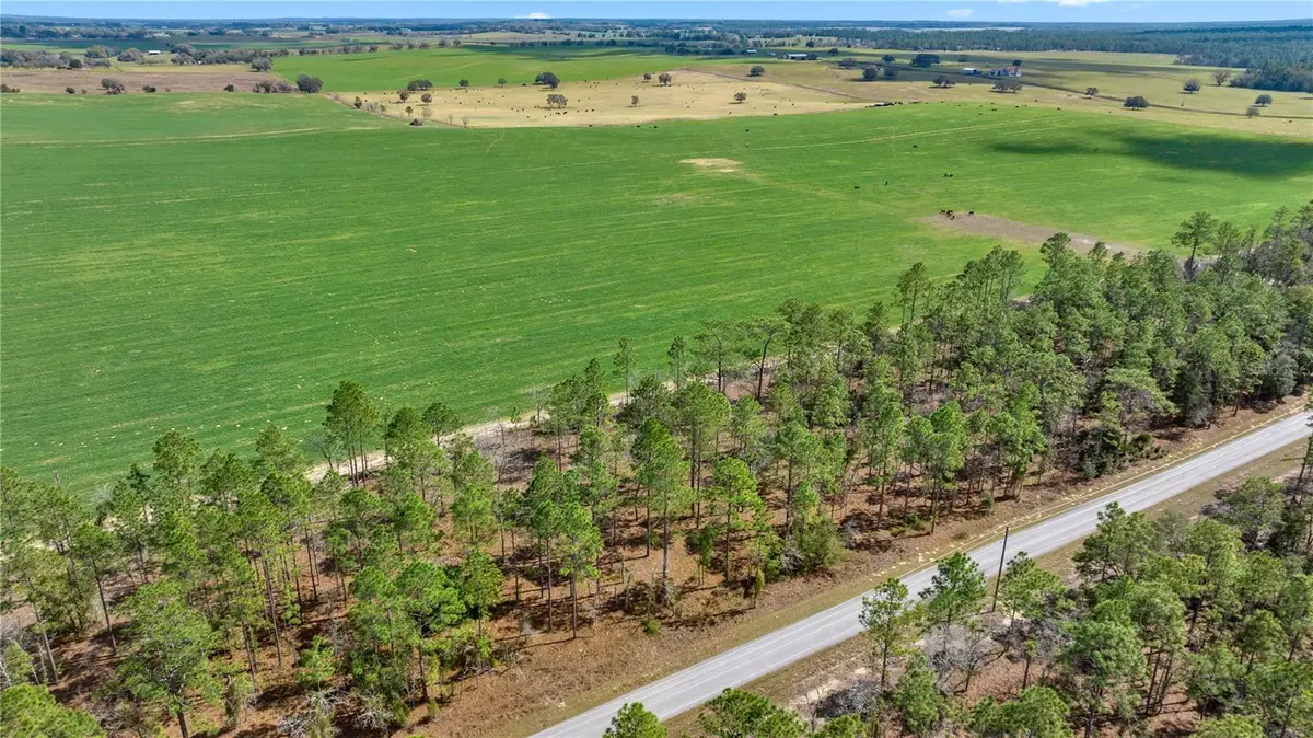 Blk 35, Lot 25 NW Buena Vista Road, Dunnellon, FL 34431 - Image #1