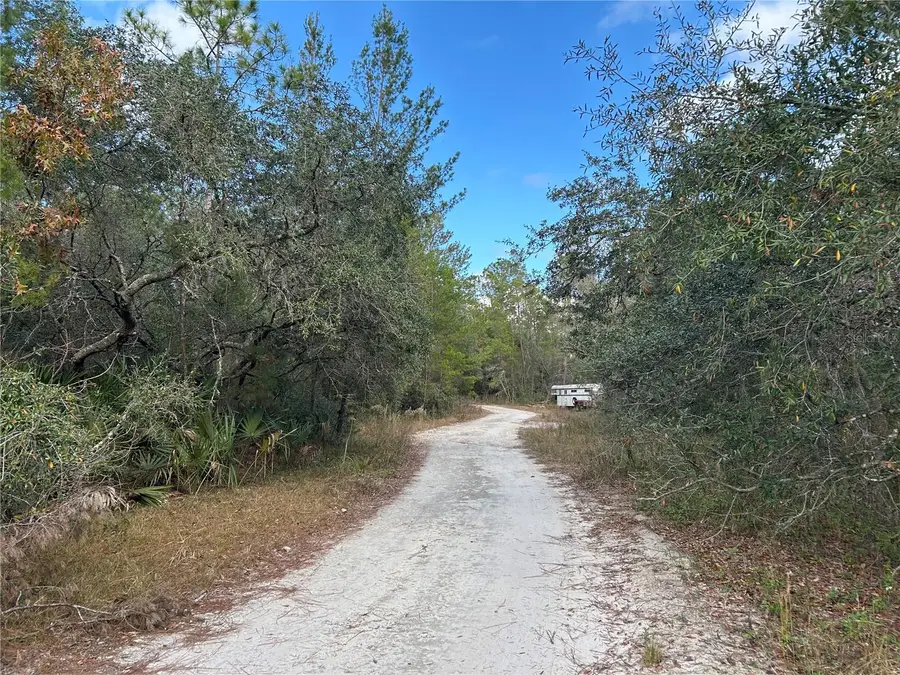 TBD NE 236 Place, Fort McCoy Anthony, FL 32134 - Image #2