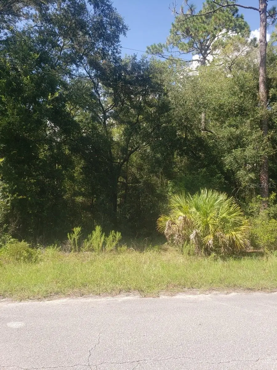 2949 W Grapevine Court, Dunnellon, FL 34433 - Image #1