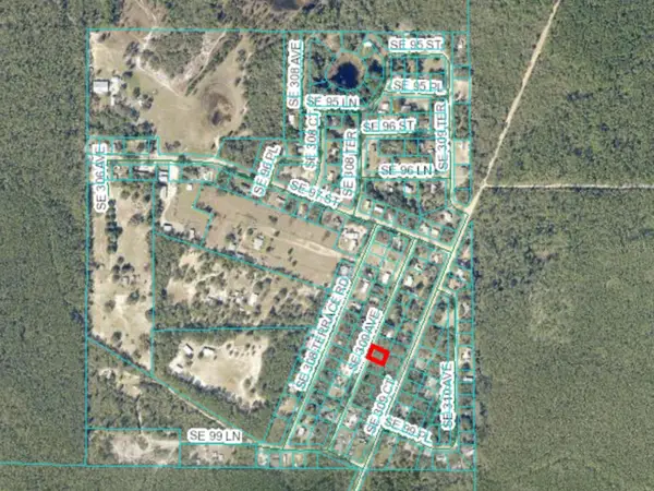 0 SE 309 Avenue, ALTOONA, FL 32702