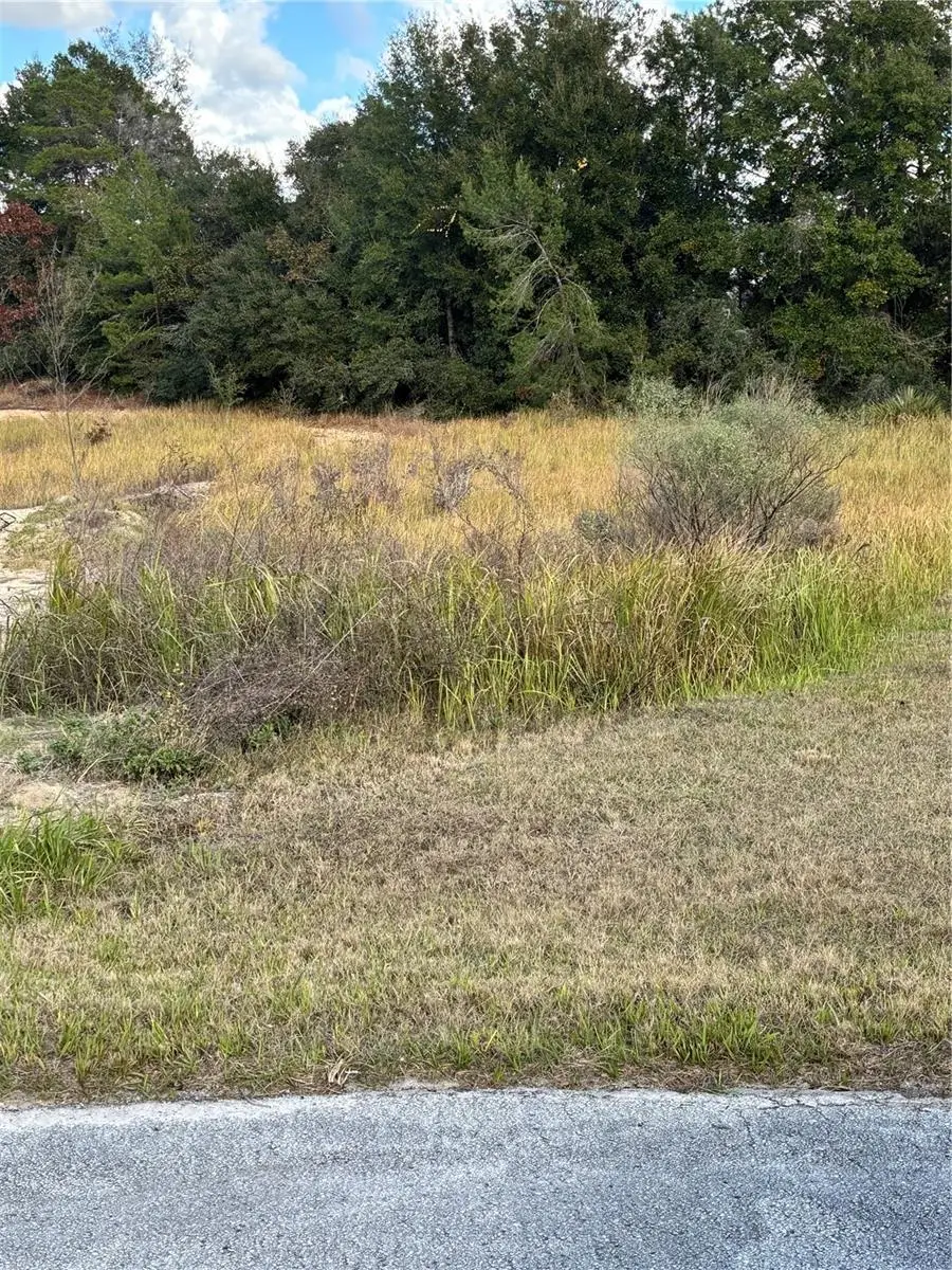 0 SW 37th Ter, Ocala, FL 34476 - Image #2