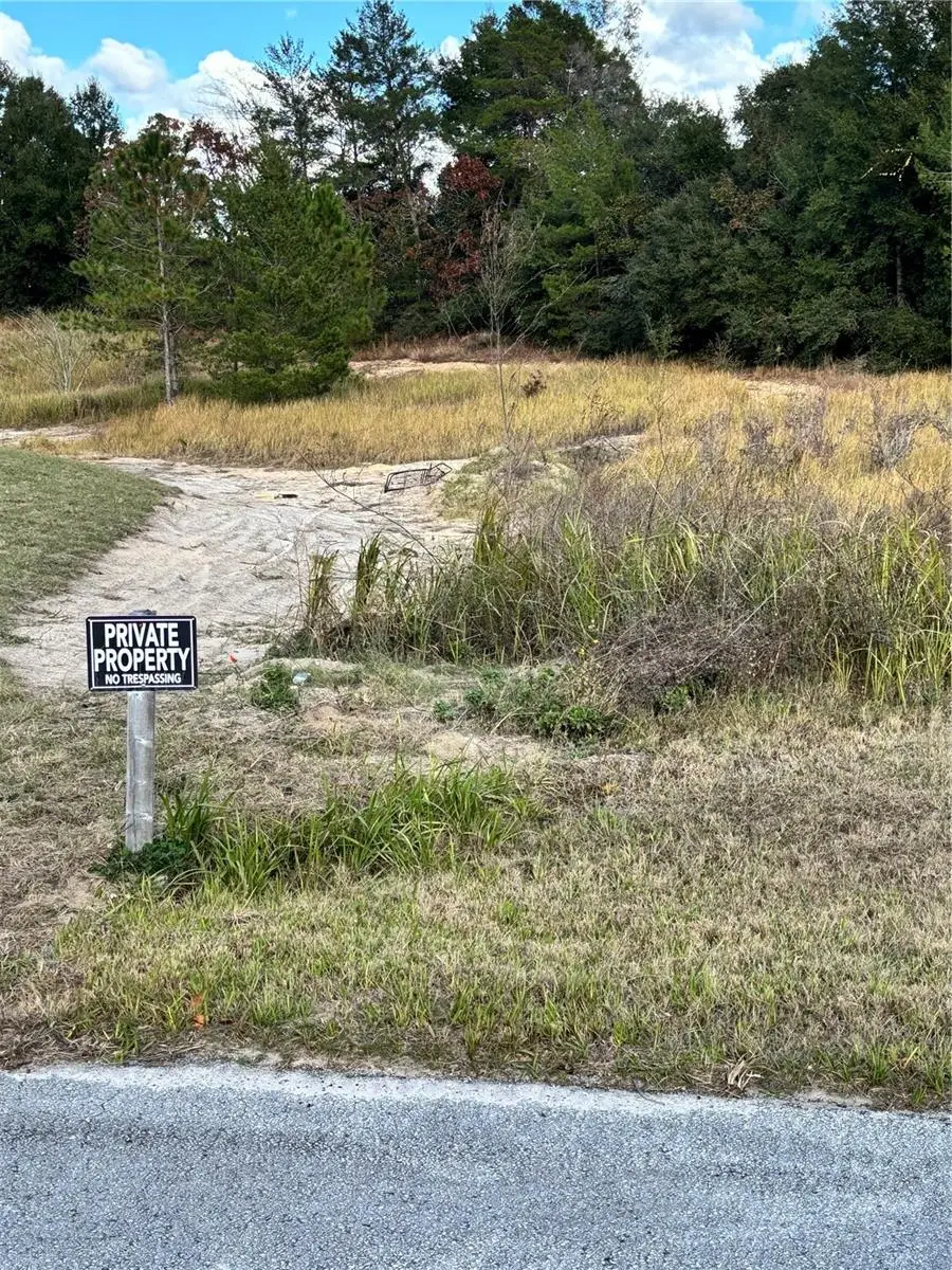 0 SW 37th Ter, Ocala, FL 34476 - Image #3