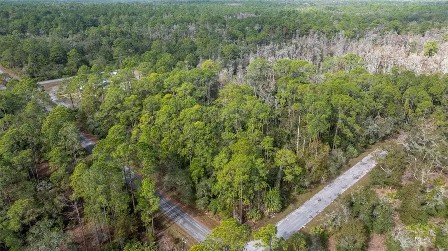 11023 W Acacia Drive, Crystal River, FL 34428 - Image #2