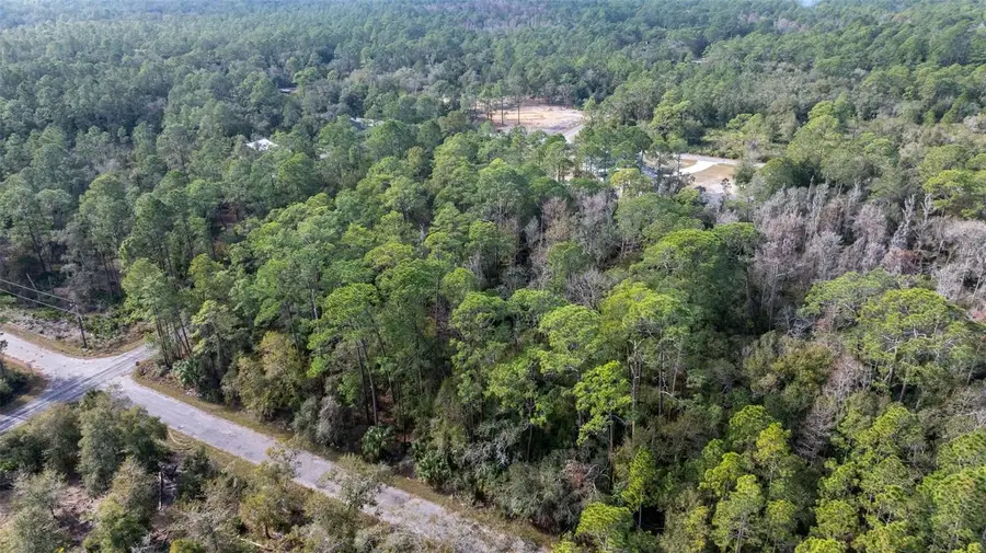 11023 W Acacia Drive, Crystal River, FL 34428 - Image #3