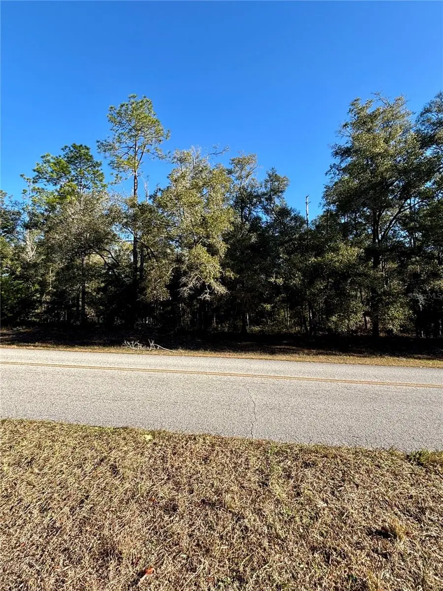 Lot 23 SW 102 Street Road, Dunnellon, FL 34431 - Image #1