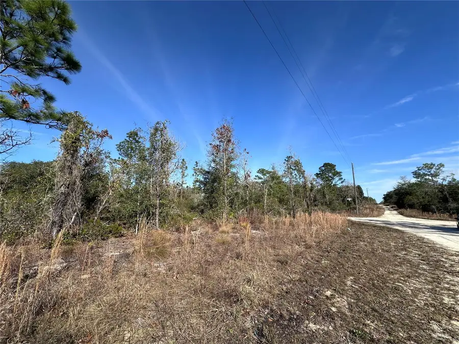 tbd NE 117th Terrace, Williston, FL 32696 - Image #2