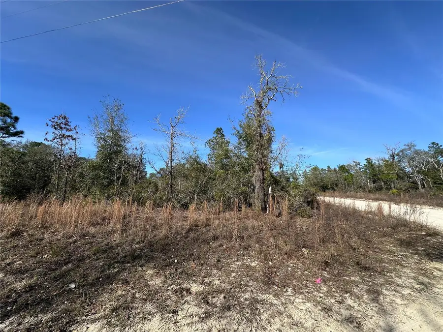 tbd NE 117th Terrace, Williston, FL 32696 - Image #3