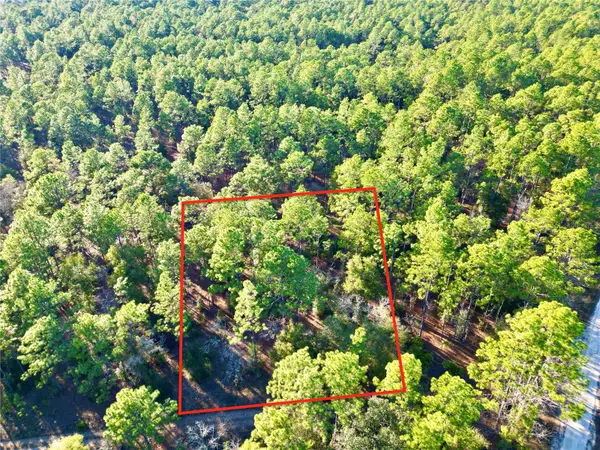 TBD SW 155th Avenue, OCALA, FL 34481