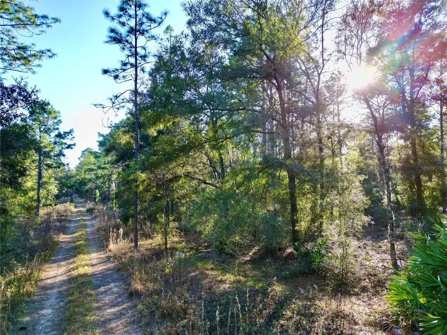 TBD SW 155th Avenue, Ocala, FL 34481 - Image #3