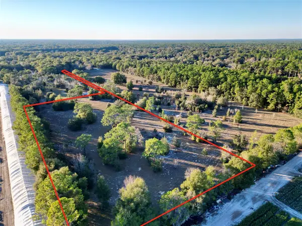 TBD SW 110th Avenue, DUNNELLON, FL 34432