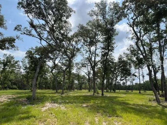 TBD Nw 14th St. - Lot 6, Ocala, FL 34482 - #1