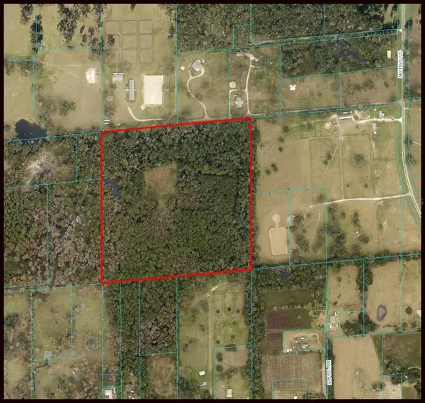 1105 NW Highway 225, REDDICK, FL 32686
