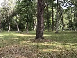 TBD S Hwy 301, Webster, FL 33597 - Image #2