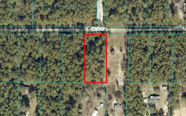 TBD Lot 8 SW 39th Street, DUNNELLON, FL 34432