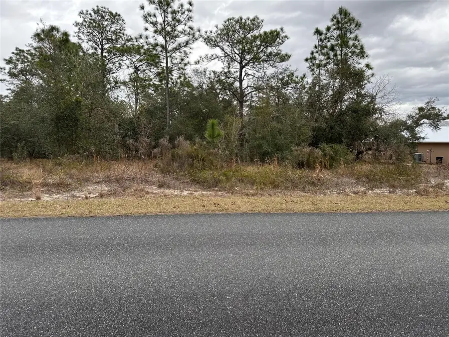 Sw Obee Ridge Rd, Dunnellon, FL 34431 - #2
