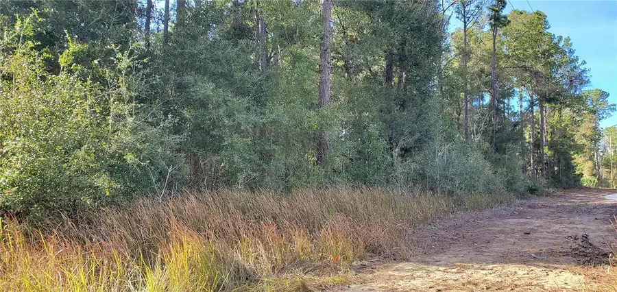 0 SW 155th Court, Ocala, FL 34481 - Image #2