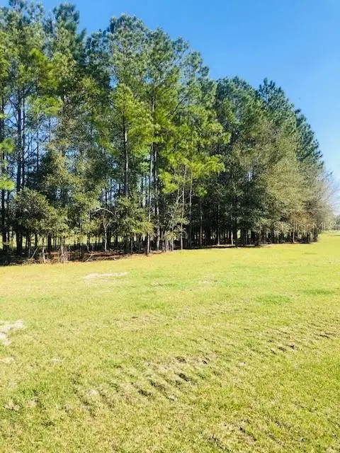 Nw 145th-westfield-lot 2, Morriston, FL 32668 - Image #3