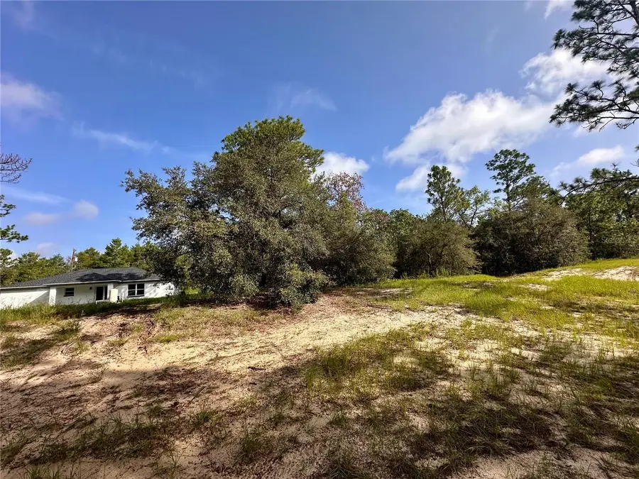 0 Guava Pass, Ocklawaha, FL 32179 - Image #2