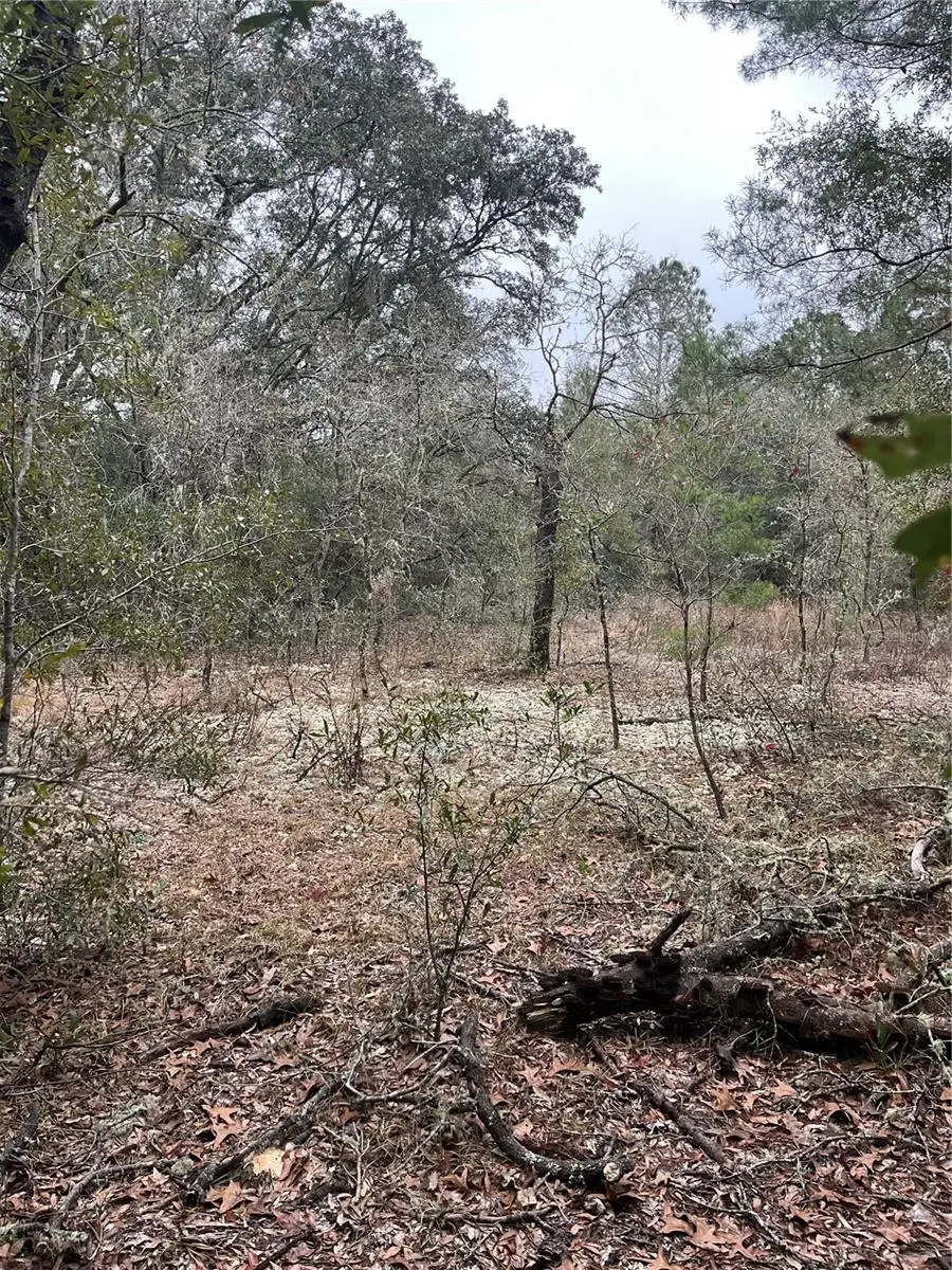 Lot 36 SW Monines Court, Dunnellon, FL 34431 - #3