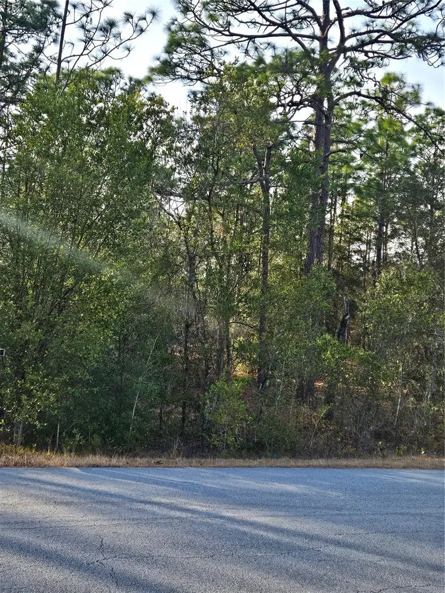 SW Admiral Landing Dr., Dunnellon, FL 34431 - #3