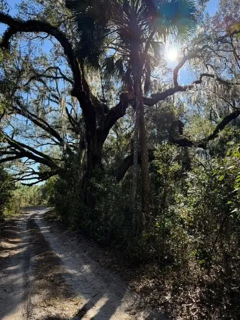 17391 NE 60th Street, WILLISTON, FL 32696