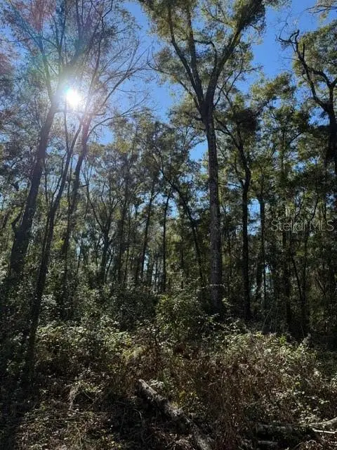 17391 NE 60th Street, Williston, FL 32696 - Image #2