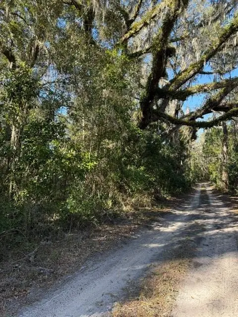 17391 NE 60th Street, Williston, FL 32696 - Image #3