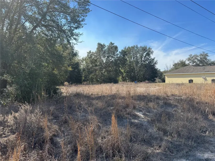 Lot 5 SW 108th Street, Dunnellon, FL 34432 - #3