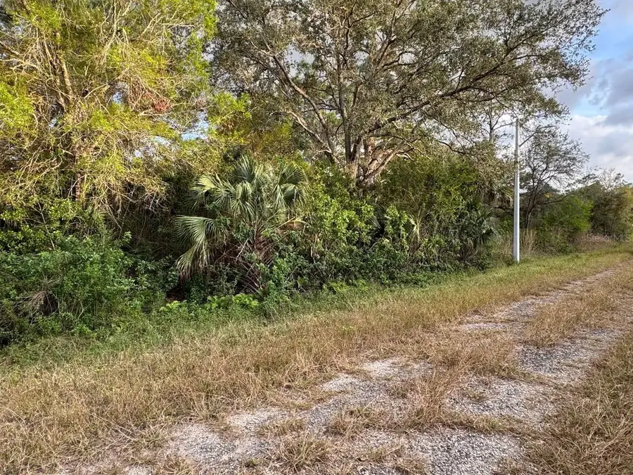 1510 Grant Avenue, Lehigh Acres, FL 33972 - Image #2