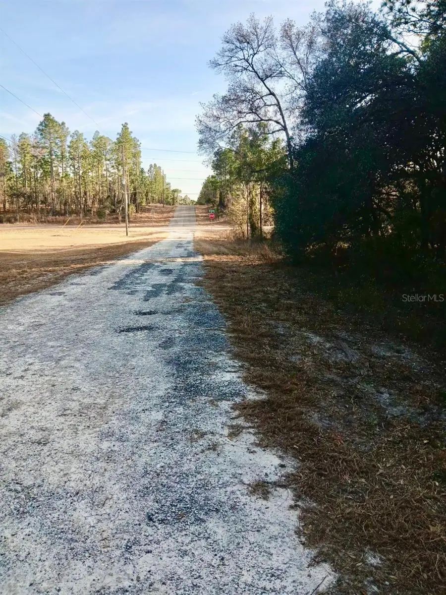 SE 133rd Avenue, Dunnellon, FL 34431 - Image #2